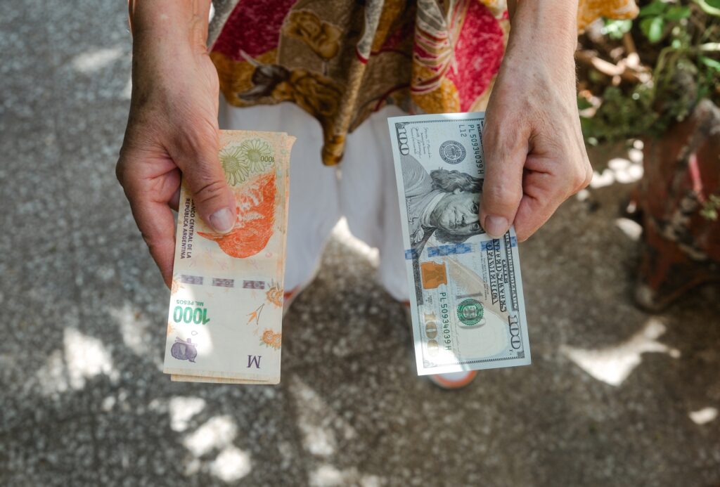 Argentine dollarisation